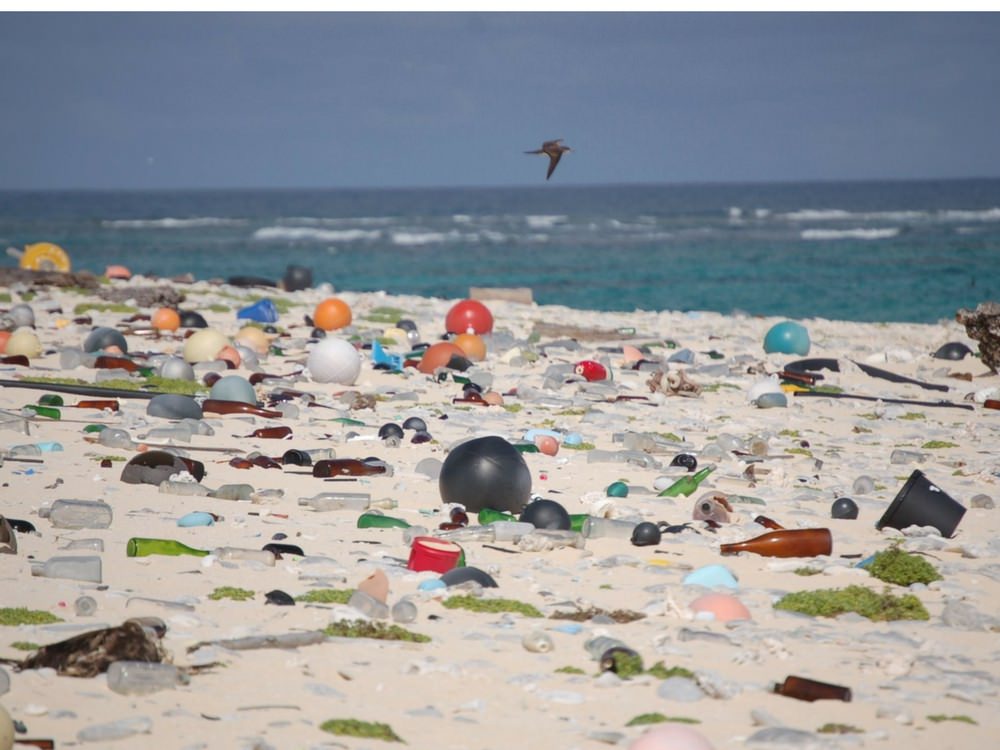 beach cleanup plastic podcast