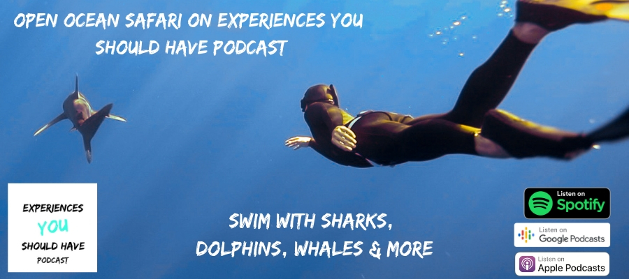 swim with whales sharks dolphins kona hawaii open ocean safari adventure podcast