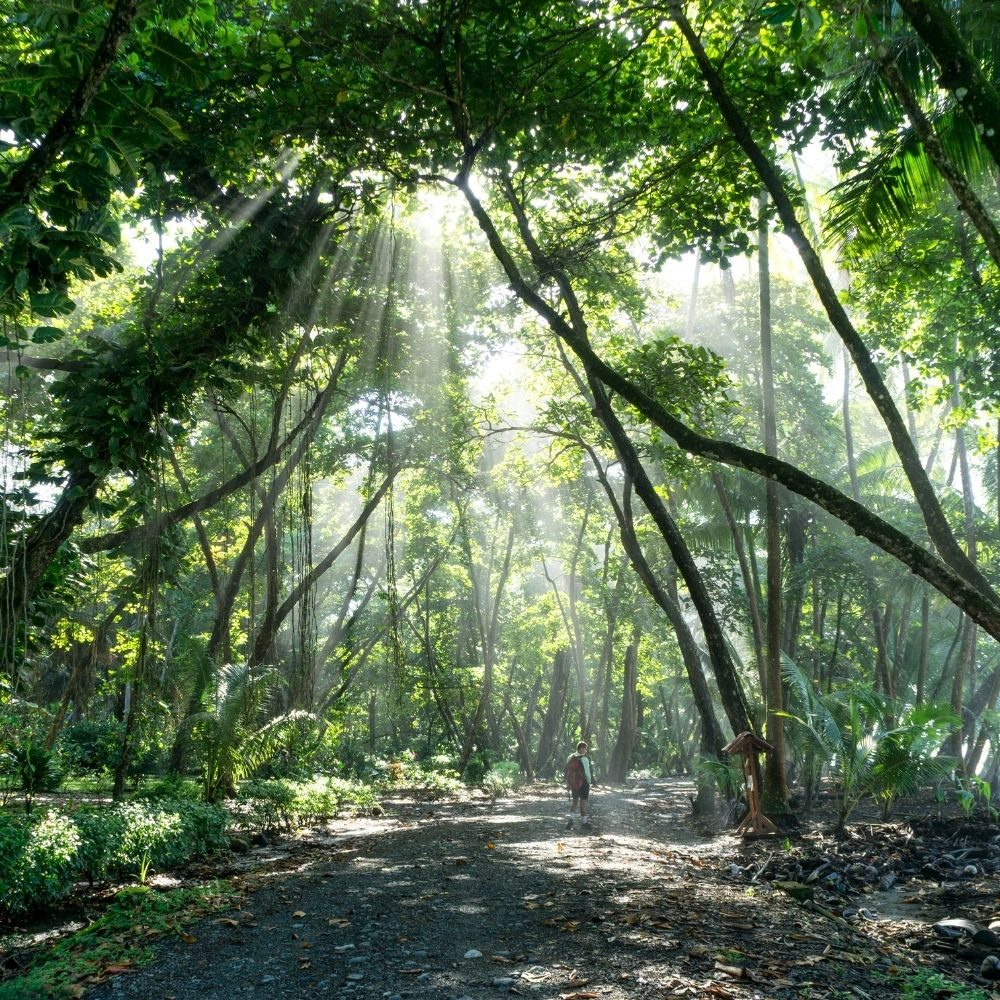 osa peninsula in costa rica