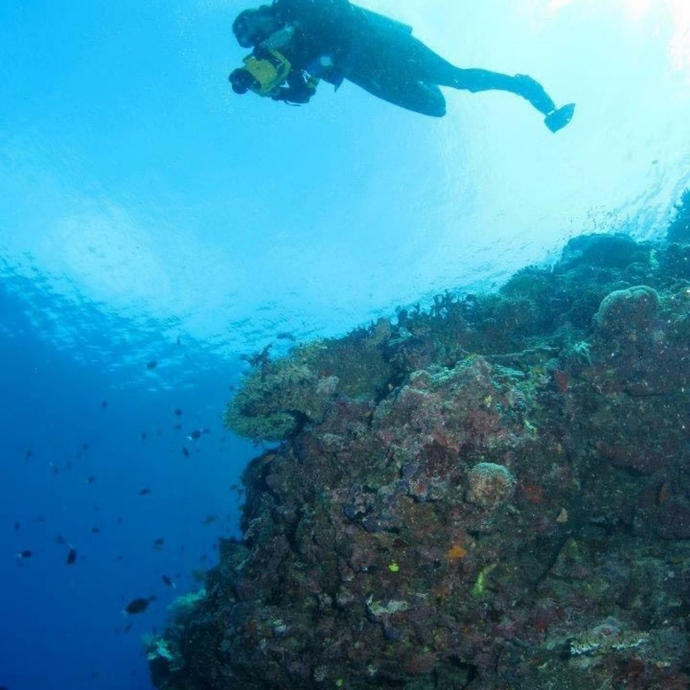 gail menasco scuba diving