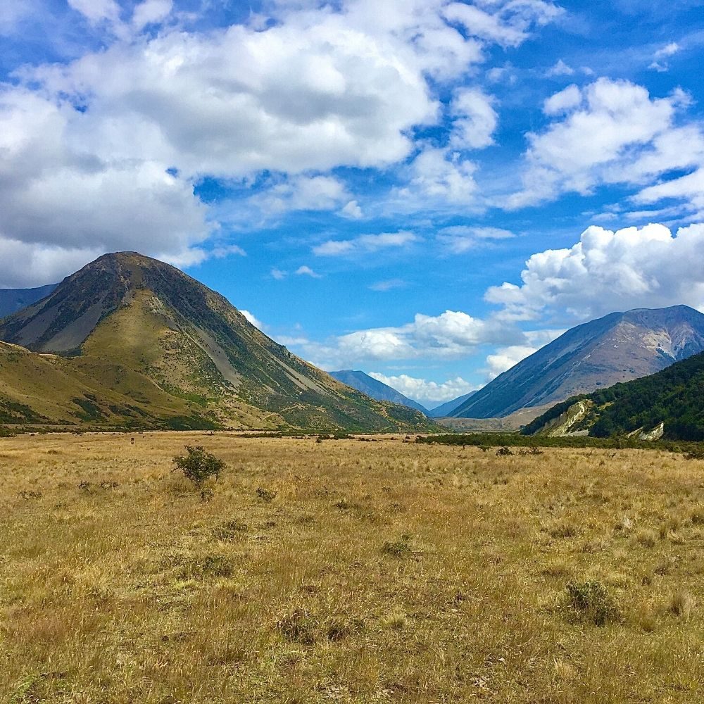 hiking te araroa thru hike new zealand