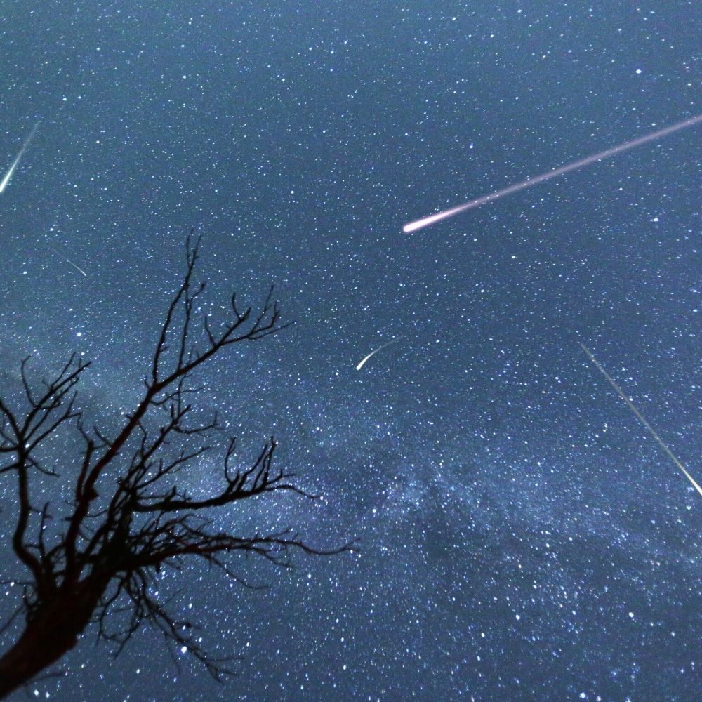 perseids meteor shower