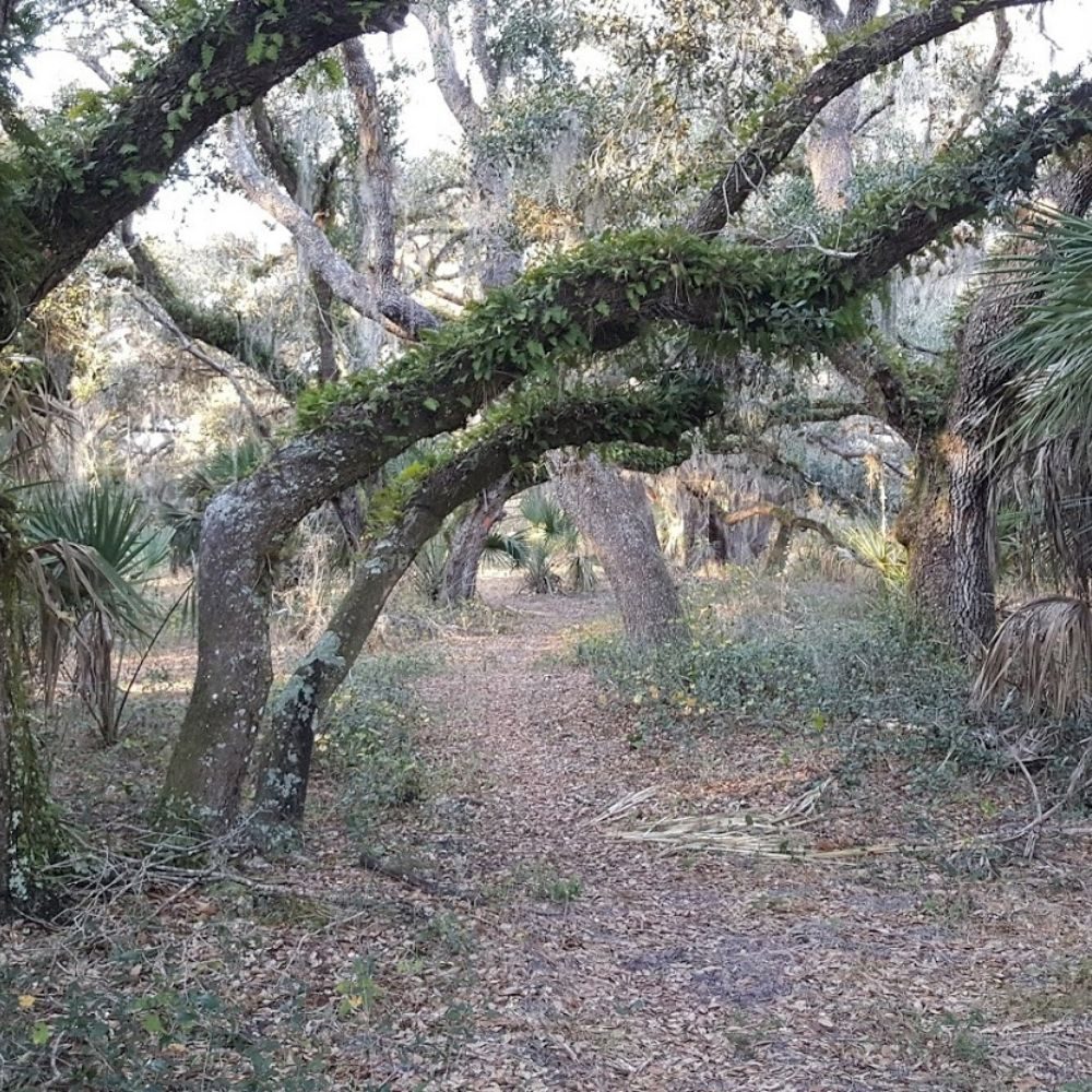 florida thru-hike florida trail podcast