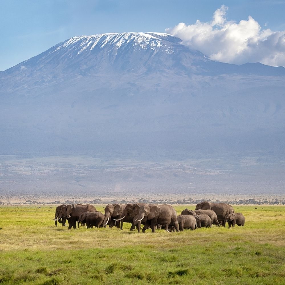 climb mt kilimanjaro