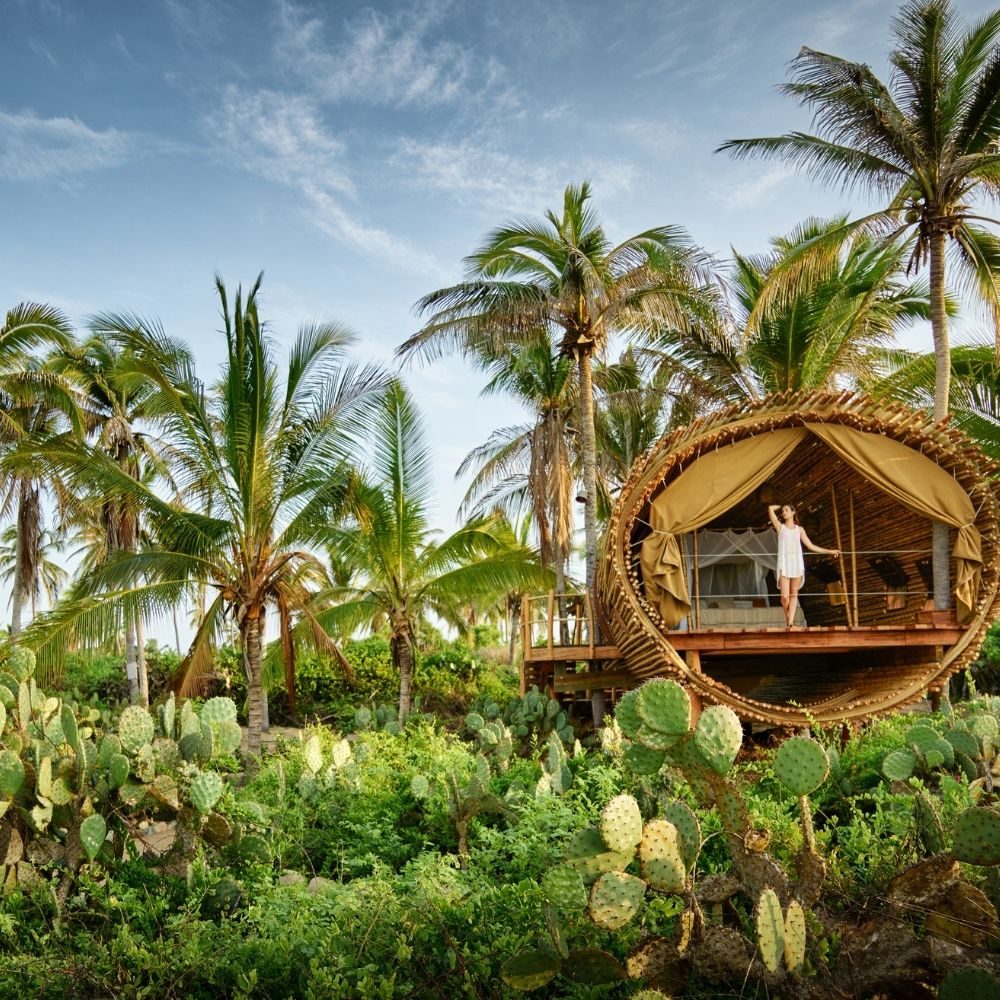 playa viva treehouse resort mexico