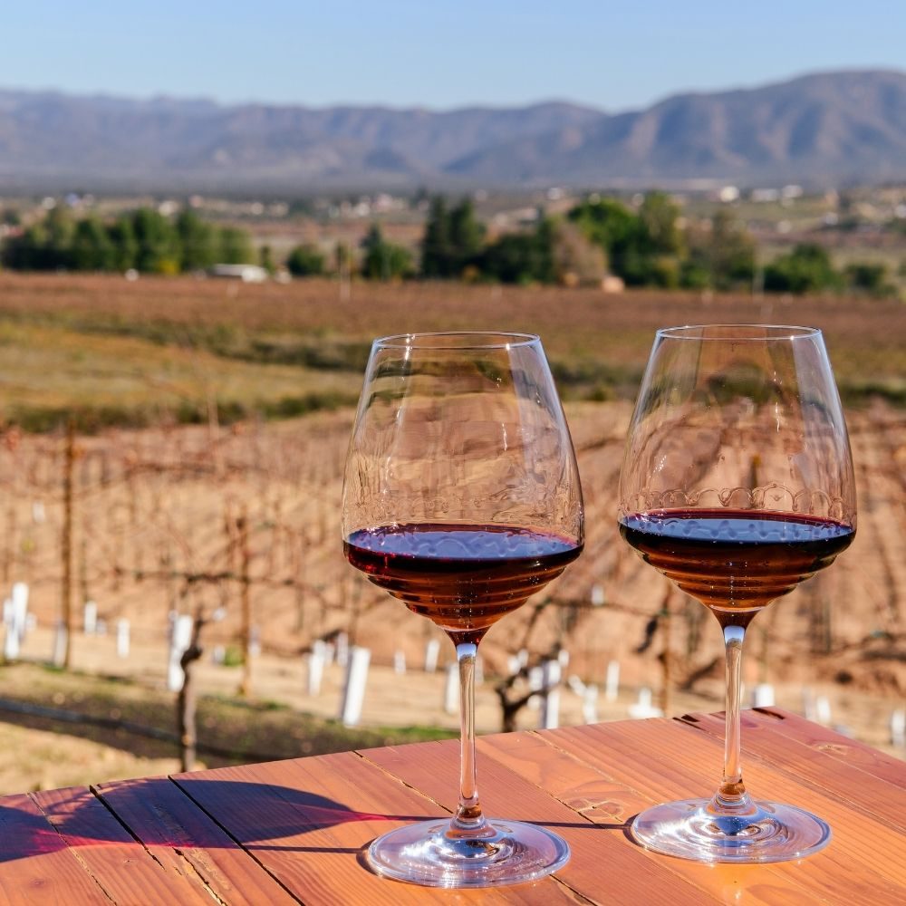 valle de guadaulupe wine tasting